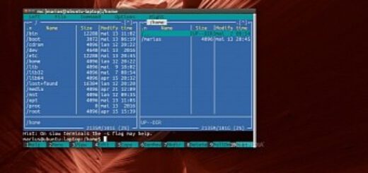 Gnu File Manager Windows