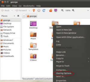 Ubuntu где program files