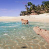 Project castaway screenshot hd