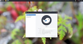 Solus 1 1 is going to be awesome developers promise