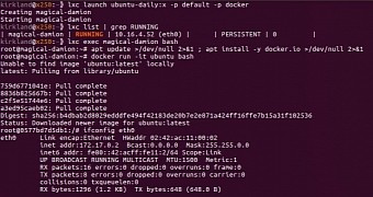 Ubuntu 16 04 lts brings docker 1 10 with fan networking to every architecture