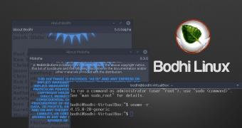 Ubuntu 18 04 based bodhi linux 5 0 enters beta with bodhi builder improvements 521321